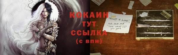 PSILOCYBIN Корсаков