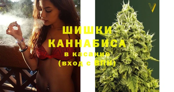 PSILOCYBIN Корсаков