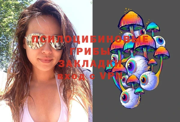 тгк Коряжма